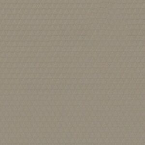 DRAGON SKIN BEIGE